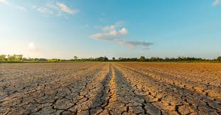 Avviso per l'acquisizione di segnalazioni di eventuali danni causati dalla siccità nell'anno 2023